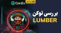 بررسی توکن Lumber